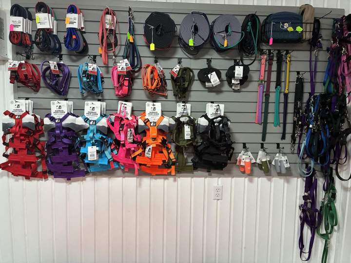 Produits éducation canine Trois Rivières (5)