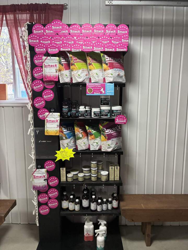 Produits éducation canine Trois Rivières (7)